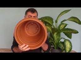 Başlangıç tarihi 20 nisan 2020. Saksilarin Altinda Mutlaka Delik Olmali Youtube