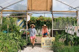 When it is about high profile events we have the skilled team of florist to take care of it. About Us Little River Cooperative