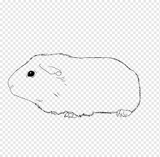 Veja mais ideias sobre desenhos, pontilhismo, desenhos para colorir adultos. Desenho De Porquinho Da India Americano Livro De Colorir Porquinho Da India Angulo Branco Mamifero Png Pngwing