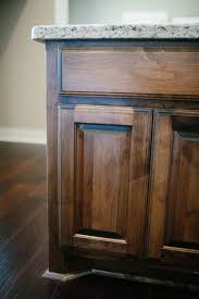 Raised Panel Clear Alder Deep Ebony Stain Alder Cabinets Cabinet Inspiration Kitchen Remodel