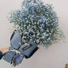 Bunga baby breath menjadi salah satu primadona baik digunakan untuk dekorasi ruangan hingga buket pengantin. 81 Ide Baby Breath Bunga Buket Buket Bunga