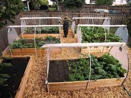 Winter Vegetable Gardening Design Vegetable Gardening Garden Layout Vegetable Backyard Vegetable Gardens Home Vegetable Garden