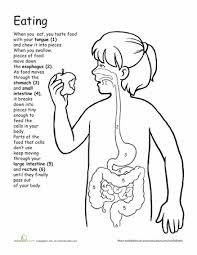 Awesome Anatomy What S Eating You Worksheet Education Com Homeschool Science Human Body Systems Human Body Unit