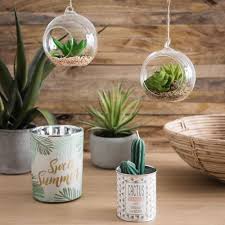 Terrarium Boule Artificiel Decoration Plante Deco Cactus Idees Decoration Maison