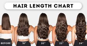 What will your hair look like when it reaches twelve inches? Hair Length Chart What You Don T Know May Shock You Lewigs