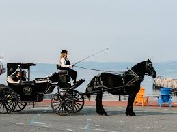 VICTORIA CARRIAGE TOURS (2026) All You ...