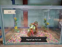 Mulai dari aneka kapan produksinya, model, desain hingga yang langka atau limited edition, bisa tersedia juga di tokopedia. Macam2 Aneka Aquarium Hias Facebook