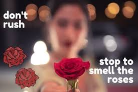 Bed of roses is an idiom that has been in use at least since the 1500s. Stop To Smell The Roses ã®æ„å'³ ä½¿ã„æ–¹ Artisanenglish Jp è‹±ä¼šè©±
