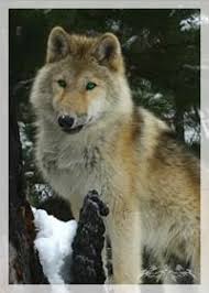 Maybe you would like to learn more about one of these? The Unbreakable Pick And Play