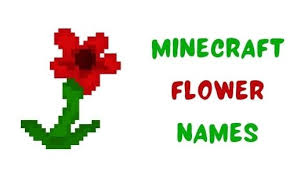 Finding the origin and meaning of your name can be done pretty easily online. 1000 Minecraft Flower Names Funny Unique Famous