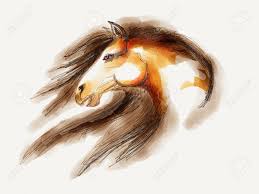 How do you draw a horse head for beginners? Mustang Horse Head Drawing Stock Photo Picture And Royalty Free Image Image 57313999