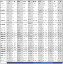 49 paradigmatic chihuahua chart