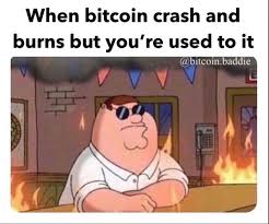 See, rate and share the best bitcoin memes, gifs and funny pics. Crypto Memes Of The Week 30 April Crypto News Au