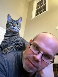 Missing Cat Doodles in Milton Area