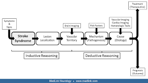 Image result for Neurologic Lesion Localization