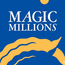 Australia's leading thoroughbred sales auctioneer company. Magic Millions Mmsnippets Twitter