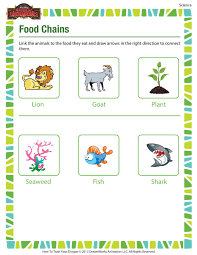 Check spelling or type a new query. Food Chains Printable 2nd Grade Science Worksheet