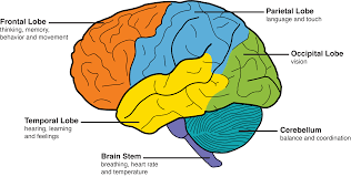 For example not remembering specific episodes of our life, or. Behavior Personality Changes Memory And Aging Center