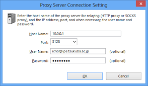 4 4 Making Connection To Vpn Server Softether Vpn Project
