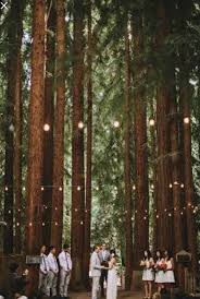 La ciudad de méxico y el estado de méxico son las entidades con más muertes por coronavirus; Boda En El Bosque En Mexico Foro Organizar Una Boda Bodas Com Mx