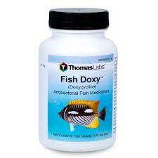 Fish Doxy Doxycycline 100 Mg Tablets 100 Count Fish Antibiotics Bacterial Diseases Gram Negative Bacteria
