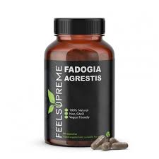 Image result for Fadogia