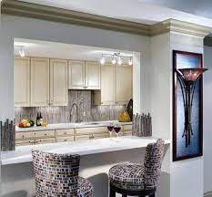 Kitchen Pass Through Bar Living Room Kitchen Kitchen Pass Condo Kitchen
