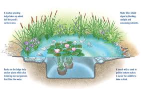 Diy backyard pond and landscape water feature. Diy Natural Backyard Pond Diy Mother Earth News