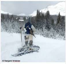 sally mckay and lorna mills