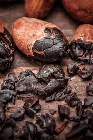 Whole Cocoa Beans Cacao Fruit Cacao Nibs Cacao Beans