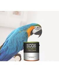 Bird Cage Paint Non Toxic Paint For Bird Cages Great Bird Bird Cages Pet Birds