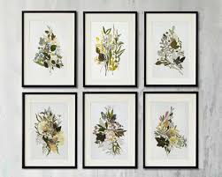 Set Of 6 Botanical Prints Artworks Collection Contemporary Art Dried Flowers Decor Picture Art Pressed Pressed Flower Art Flower Wall Art Botanical Print Set