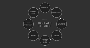 A Collection of Student Articles – 2018)