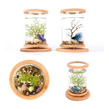 Yuk segera beli dan wujudkan aquarium yang bagus dengan ruparupa! Dudukan Bambu Kaca Yang Dapat Diputar Akuarium Ikan Kantor Dekorasi Desktop Rumah Tangki Ikan Kecil Silinder Terrarium Untuk Ikan Mas Betta Dekorasi Aliexpress