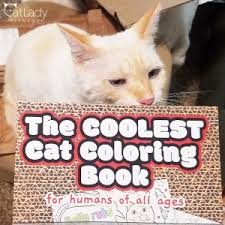 Check poison symptoms, diagnosis & treatments. Feeding Portion Calculator Cat Lady Fitness Raw Cat Food Apparel By Puppy The Cat