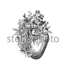 Check spelling or type a new query. Human Heart Black Line Tattoo Vector Illustration Stock Vector Image Art Alamy
