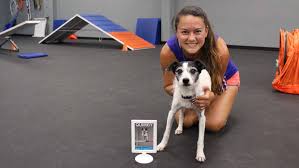 Your phoenix accent reduction trainer will be assigned to you following the results of your initial assessment according to your goals, objectives and areas for improvement. Dog Training Phoenix Agility Obedience Puppy Zoom Room Dog Training