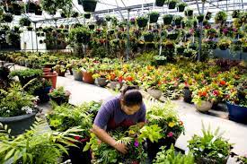 Tennessee wholesale nursery is an online tree farm and plant nursery offering specimen quality trees delivered to your home, office or business. Get Your Garden In Shape With These 9 Utah County Nurseries Local News Heraldextra Com
