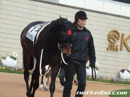 父名 グラスワンダー 母父名 スペシャルウィーク の競走馬検索 競馬データベース Netkeiba Com