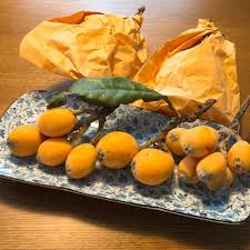 皮膚トラブルの強い味方 果物の ビワ の葉パワーがスゴすぎる
