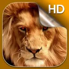 Read common sense media's the lion guard review, age rating, and parents guide. Lion Live Wallpaper Apk 1 5 Download For Android Download Lion Live Wallpaper Apk Latest Version Apkfab Com