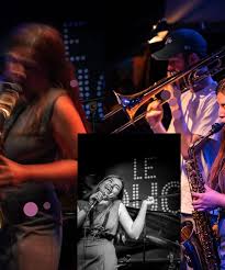 Image result for Commelina saxosa