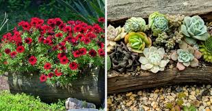 Check spelling or type a new query. 17 Gorgeously Rustic Log Planters And How To Make Them Diy Crafts