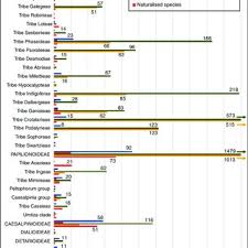 Image result for Dichilus bainesii