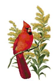 95 pages of colored pictures, black and white charts and history of the building. Kentucky State Bird And Flower Northern Cardinal And Goldenrod Counted Cross Stitch Pattern Counted Cross Stitch Cross Stitch Counted Cross Stitch Patterns