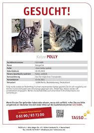 Großartig katze vermisst vorlage papacfo | kostenlos. Katze Vermisst Melden