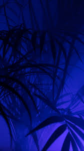 Ethereal clouds floating slowly drawing a texture of swirls and. Https All Images Net Wallpaper Iphone Neon 165 Wallpaper Iphone Neon 165 Blue Aesthetic Dark Blue Aesthetic Blue Aesthetic Pastel