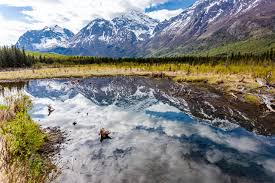 The cost of living in alaska is higher than the national average, you will pay around 44% more for housing, 22% more for groceries, 13% more for healthcare services, and 70% more for utilities. 25 Things To Know Before Moving To Alaska Traveling Igloo