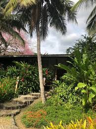 Ong ambiental que promove a recuperação da mata atlântica, das nascentes no vale do rio doce e educação ambiental. Instituto Terra Picture Of Instituto Terra Aimores Tripadvisor