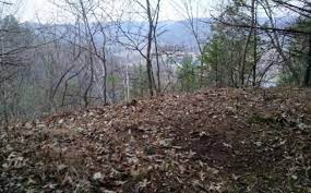 Aug 29, 2018 · game cameras are a great help in monitoring deer movements, and with the use of cameras you'll get a good idea of the deer's direction of travel at certain times of the day. Scouting Deer Bedding Areas Whitetail Habitat Solutions